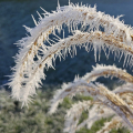 eiskalt-Pl4-EPittjpg
