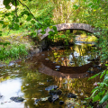 bruecke-PL1-RSinger