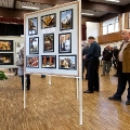 herbstausstellung2011-001
