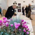 Blick in die Herbstausstellung 2025