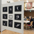 Blick in die Herbstausstellung 2025