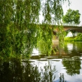 Auf der Lahn zwischen Roth und Giessen, (c) Christian Schnabel