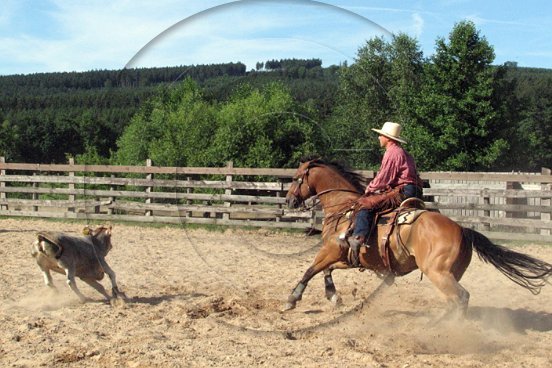 Christa Bohnaus: Weekend-Cowboys